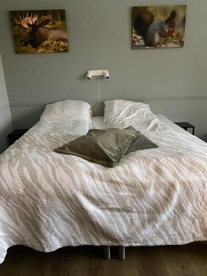 Hotel Stor-elvdal